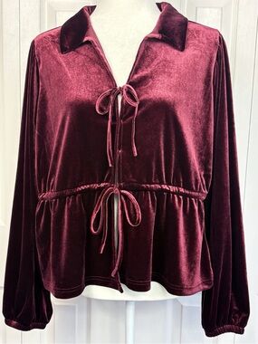 NWT Velvet Heart Burgundy Velvet Long Sleeve Tie Front Cropped Top XL